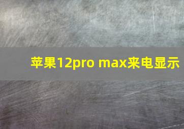 苹果12pro max来电显示